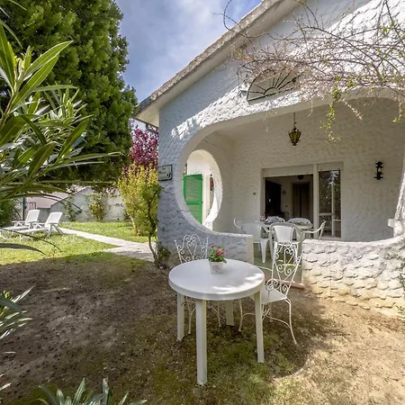 114 - Trilocale Al Taunus Con Portico E Bel Giardino Inclusa Nel Prezzo * ヌマーナ